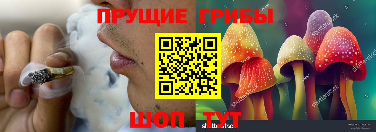 Курчатов  Галлюциногенные грибы ЛСД  закладка  Вход с VPN 